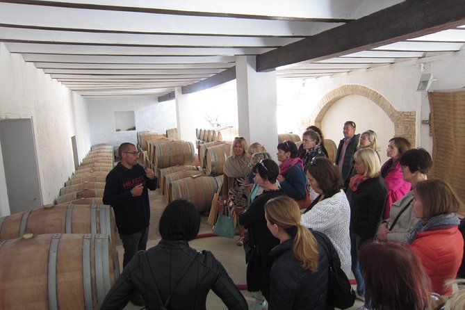 Private Wine Tour with Wine Tasting and Full Lunch (day trip) - Bodega Vera de Estenas: A 19th-Century Family Winery with a Real Tasting