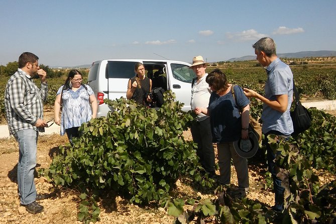 Private Wine Tour with Wine Tasting and Full Lunch (day trip) - Murviedro’s Bodega Historica: Requena’s Wine Caves Under the Old Centro