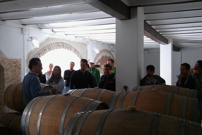 Private Wineries Tour from Valencia (morning tour) - Morning in Utiel-Requena: why starting at 9:30 works