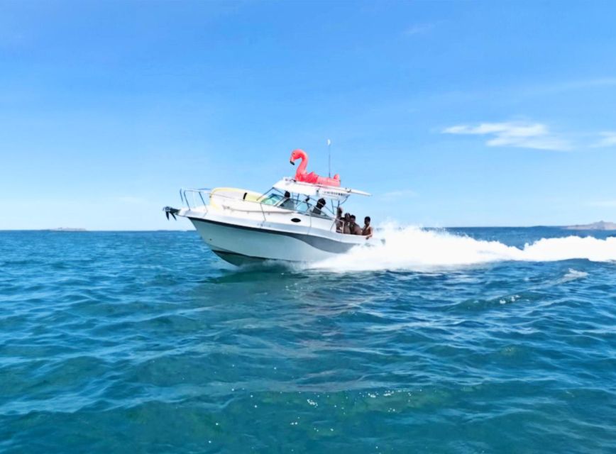Rent Boat Valencia Yatch Polonova with capitan and drinks - The one watch-out: pace and captain engagement