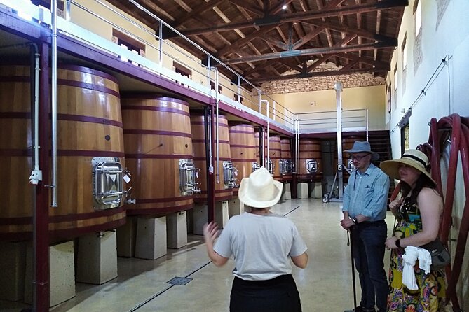 Requena Somm. Private Vineyards/ Premium Wine tasting 1/2 Day - Mercedes Pickup, Air-Conditioned Ride, No Stress About Timing