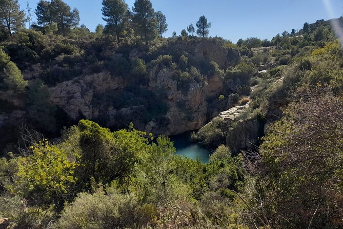 Shared Hike Tour in Valencia - Key points to know before you go