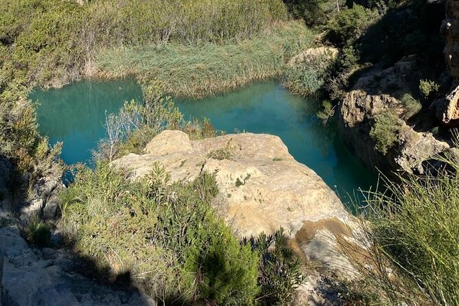 Shared Hike Tour in Valencia - Price and logistics: what $96.02 buys you
