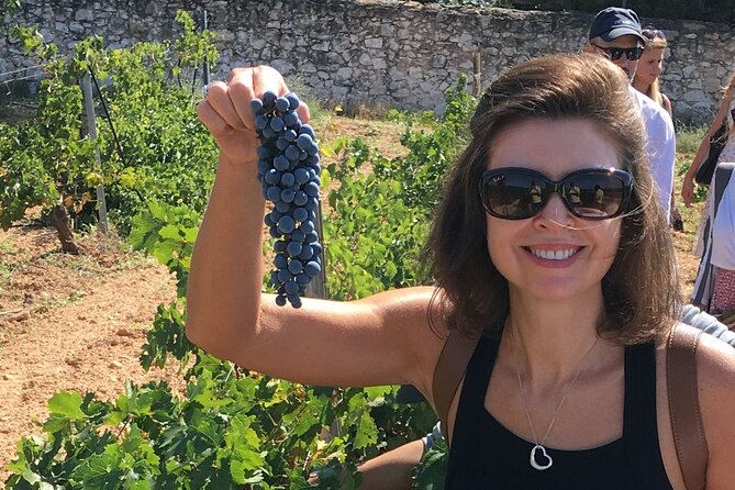Singular Valencia Wine Tour Utiel Requena Wineries - Tastings and Pairings: Cava, Whites, Reds, and Chocolate