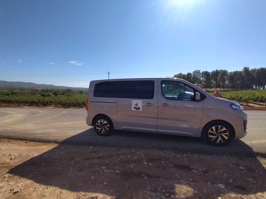 Small-Group Wine Tour from Valencia with Tastings Max 7 - Why this Requena wine tour feels efficient