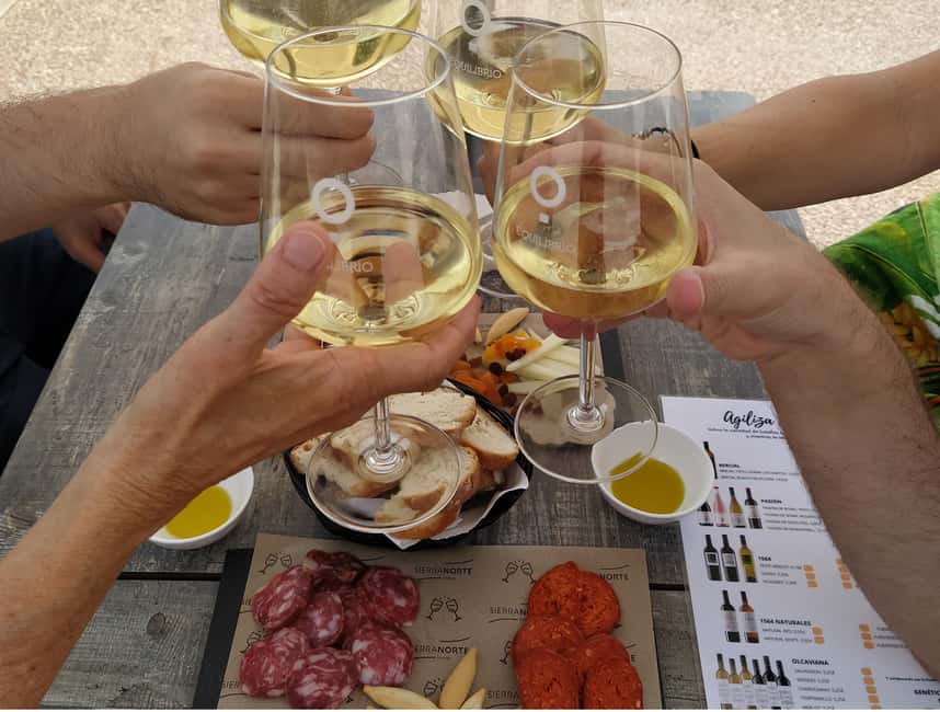 Small-Group Wine Tour from Valencia with Tastings Max 7 - Murviedro Bodega Histórica: underground caves and old-school production