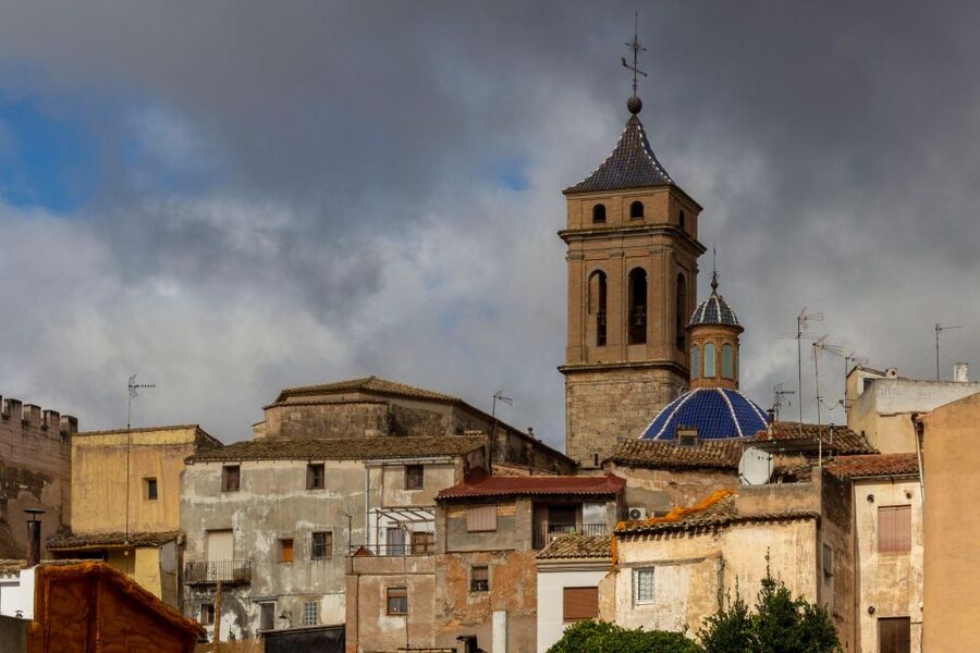 Small-Group Wine Tour from Valencia with Tastings Max 7 - The second winery tasting in Requena: Bobal in the spotlight