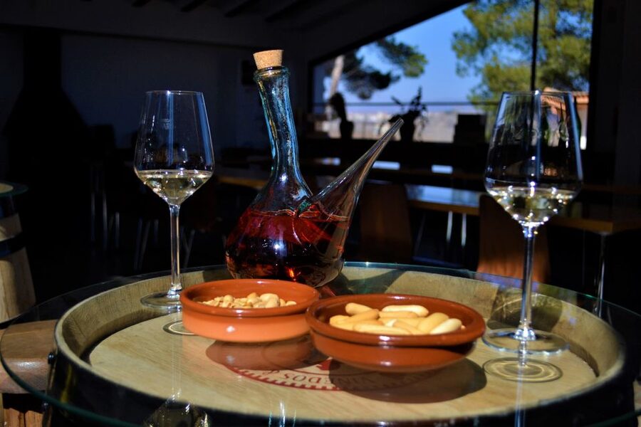 Small-Group Wine Tour from Valencia with Tastings Max 7 - Who should book, and who should skip