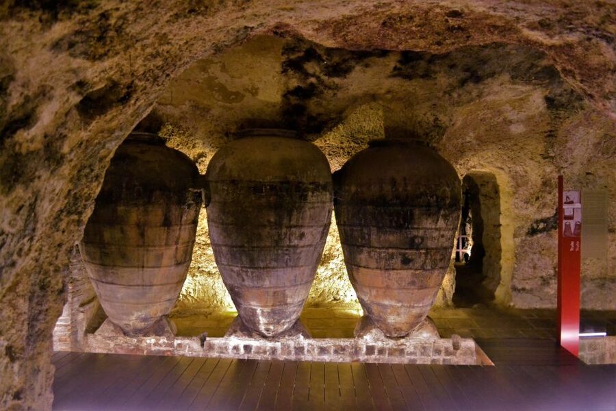 Small-Group Wine Tour from Valencia with Tastings Max 7 - What to expect from the guide and the group vibe