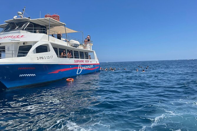 Swimming Tour by Gandía - Key things to know before you go