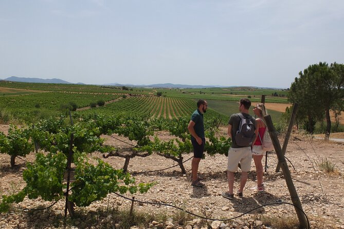Tapas in the vineyards - Price and Value: What $205.68 Covers in Real Terms