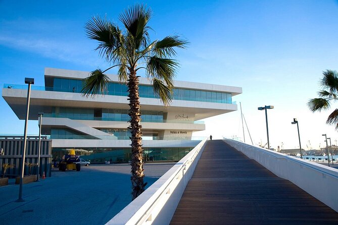 The City of Arts and Sciences in Valencia - Palacio de las Artes Reina Sofía: architecture first, then the drama