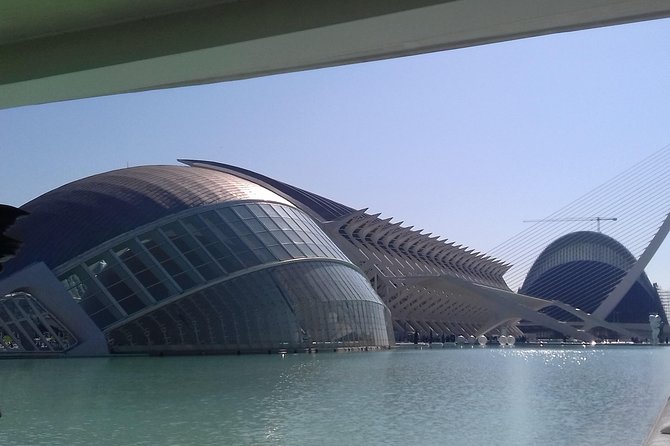 The City of Arts and Sciences in Valencia - La Marina de Valencia and the America’s Cup port finish