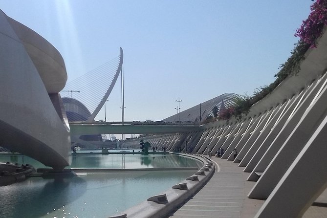 The City of Arts and Sciences in Valencia - Timing, walking, and weather: what to plan for