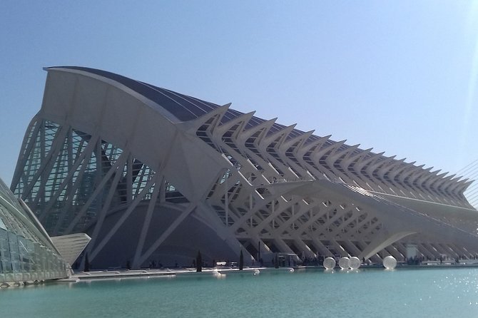 The City of Arts and Sciences in Valencia - Price and value for a 2-hour exterior-focused tour