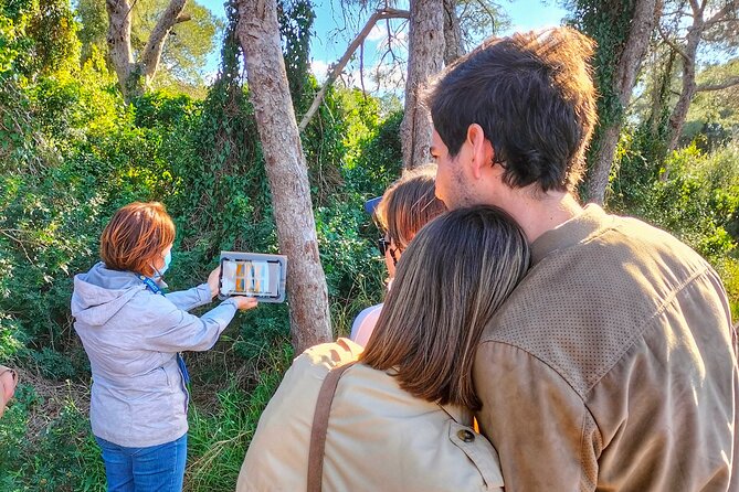 The Original Albufera Tour: Barraca, Boat Ride & Local Guide - Key highlights to watch for