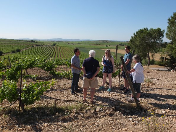 Two wineries tour with wine tasting - Stop 1: Utiel-Requena cellar tour and tasting (what you’ll likely see)