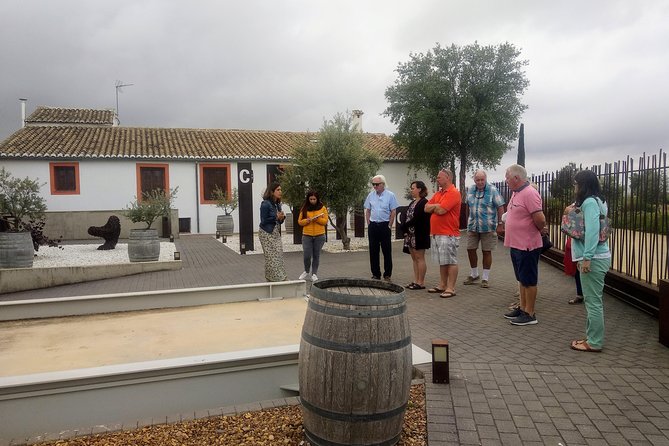Two wineries tour with wine tasting - Tastings and snacks: what to expect beyond the pours