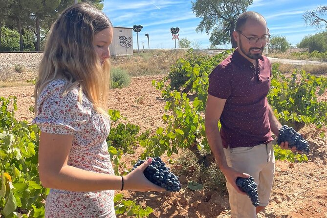 Utiel-Requena Excursion: Uncover the Flavors of Valencia's Wine - Key highlights to know before you go