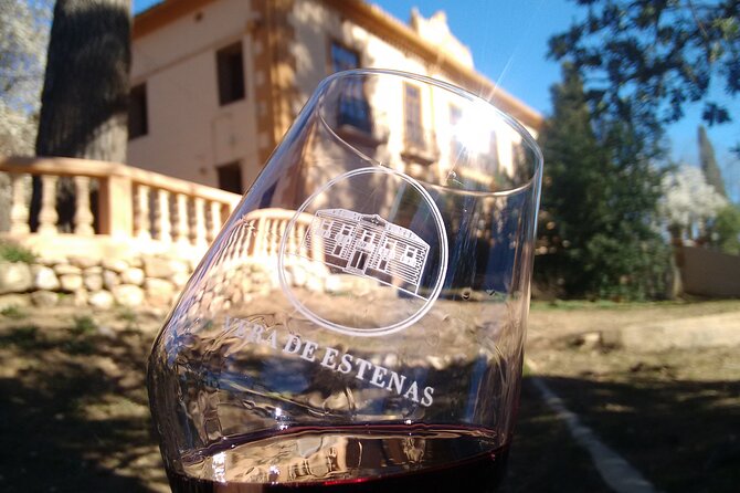 Utiel-Requena Excursion: Uncover the Flavors of Valencia's Wine - Why Bobal is the point of this trip