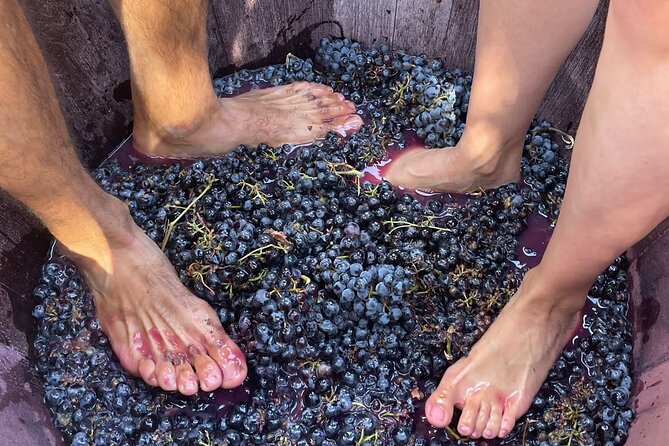 Utiel-Requena Excursion: Uncover the Flavors of Valencia's Wine - Family-friendly details that actually help