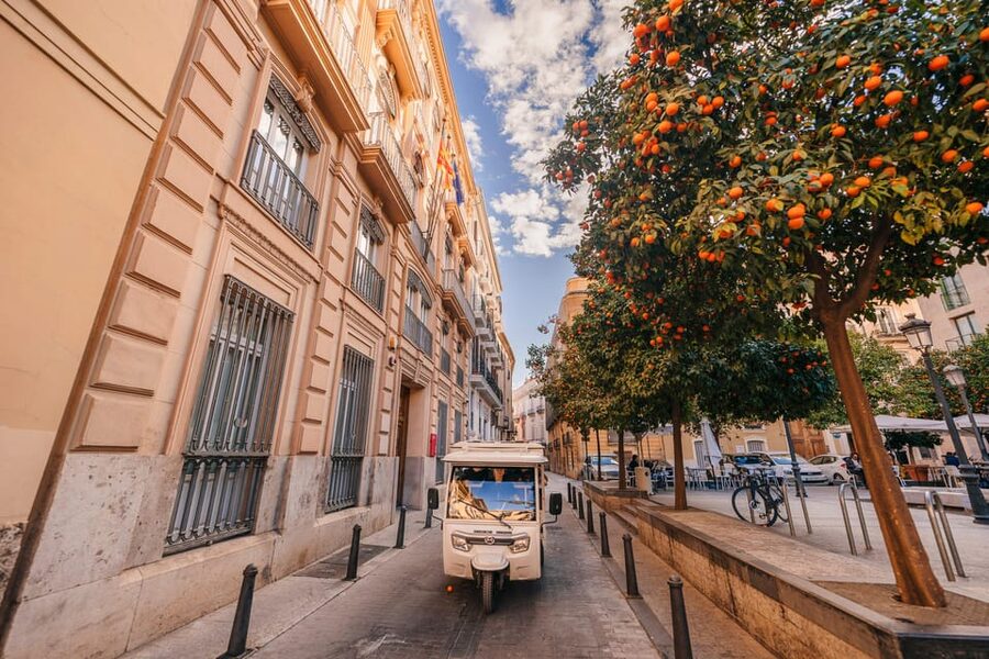 Valencia 1 hour by TukTuki: Essential and Private Tour - Who this Valencia TukTuk-I tour is best for