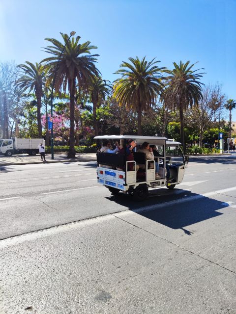 Valencia: 2-hour City Highlights Guided Tour by Tuk Tuk - Guides, Photo Stops, and Getting the Most Out of Your Route