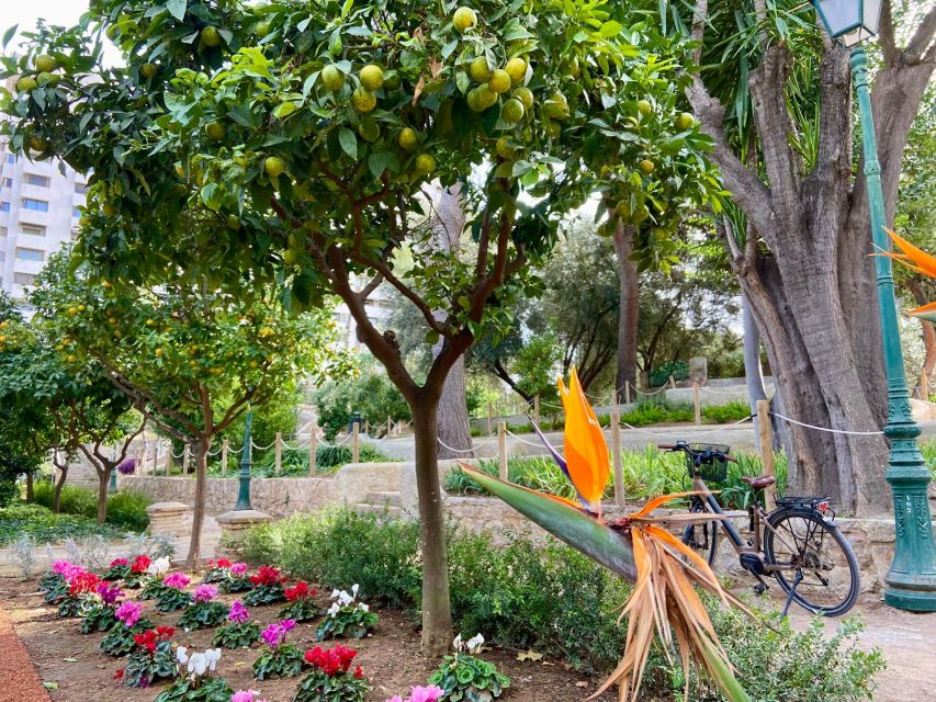 Valencia: 2-in-1 Biking and Walking Audio-Guided Route - Walking route: 5 kilometers through the old city’s gates, squares, churches, and cathedral