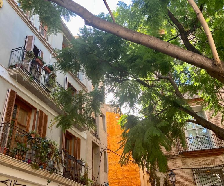 Valencia: 2-in-1 Biking and Walking Audio-Guided Route - Where this fits best (and who should skip it)