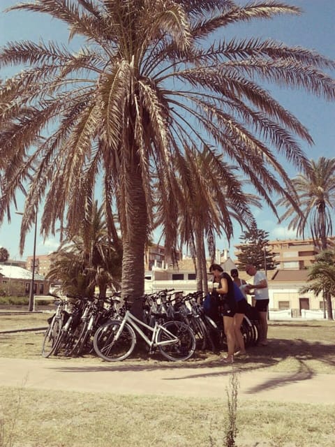 Valencia: 3-Hour City Bike Tour - City of Arts and Sciences and Calatrava’s modern silhouettes