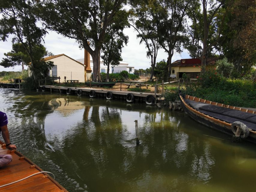 Valencia: Albufera Natural Park Bike and Boat Tour - Back to Valencia by bike: the city returns on the horizon