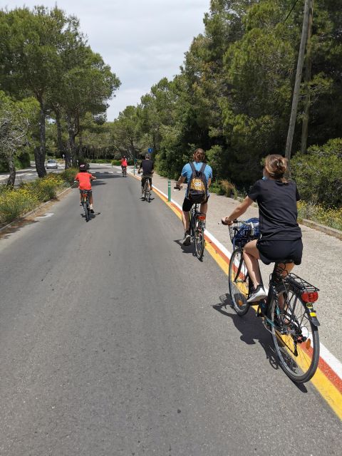 Valencia: Albufera Natural Park Bike and Boat Tour - Who this Albufera bike and boat tour fits best