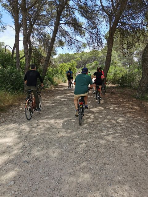 Valencia: Albufera Natural Park Bike and Boat Tour - Should you book the Albufera bike and boat tour?