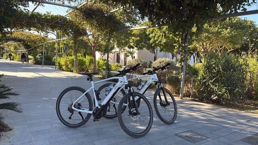 Valencia all in one: beaches, old town & city arts by E-bike - Key points you’ll care about