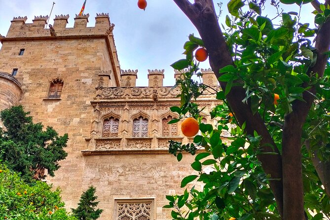 Valencia: Art & Architecture Guided Tour with Monuments Tickets - Stop 6: Placa de la Mare de Deu and the Final Square Perspective