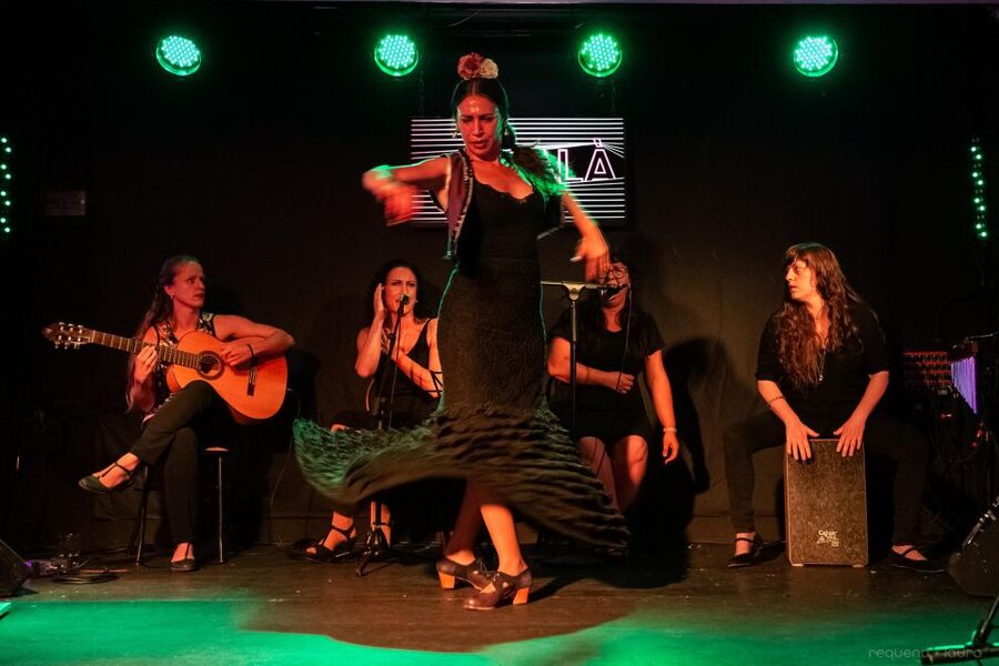 Valencia: Authentic Flamenco Show Entry Ticket - Live guitar, singing, and footwork: the emotional engine