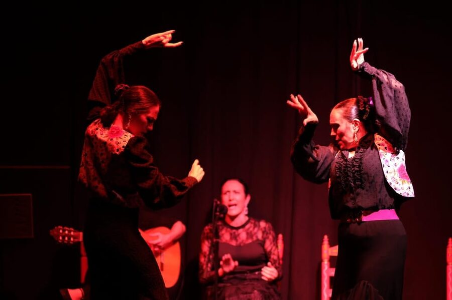 Valencia: Authentic Flamenco Show Entry Ticket - Seats, sightlines, and how to pick a smart location in the room