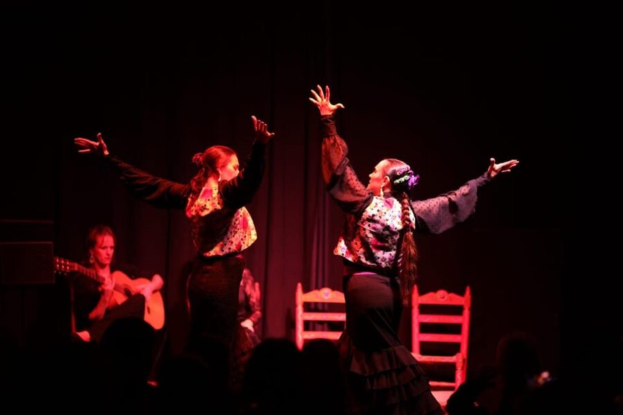 Valencia: Authentic Flamenco Show Entry Ticket - What a 1-hour flamenco show actually looks like