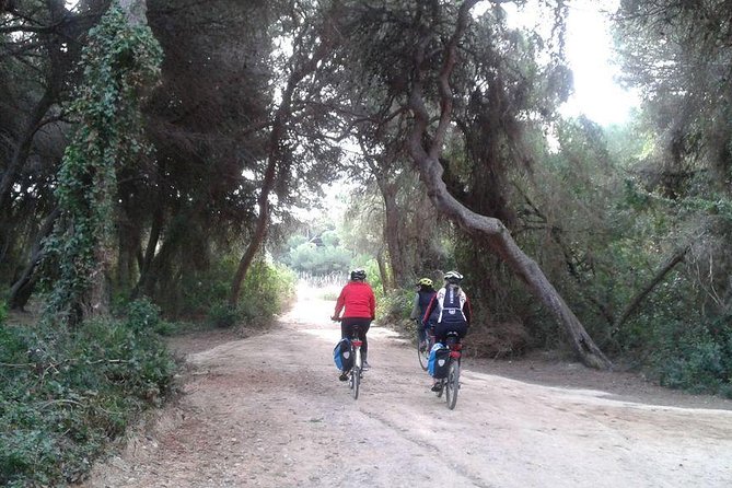 Valencia Bike or Segway Tour - Starting at Serranos Towers and getting your bearings
