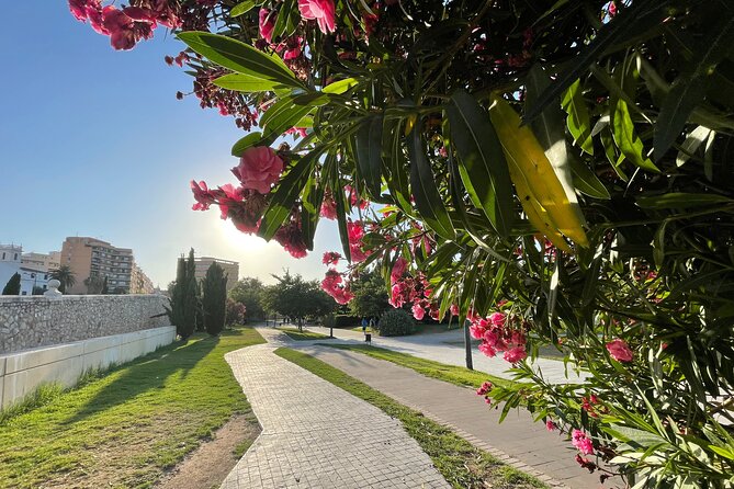 Valencia Bike Tour: Top Sights and City of Arts & Sciences - Plaza de la Virgen to the civil-war moment: the Old Town hits first