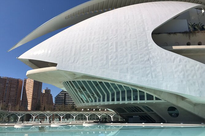Valencia Bike Tour: Top Sights and City of Arts & Sciences - Puente de l’Exposició and Calatrava: the architecture story kicks into gear