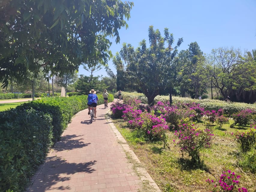 Valencia, Biketour of all the city with a local guide - From Serrano Towers to Plaza de la Crida: Starting Where Valencia Feels Real