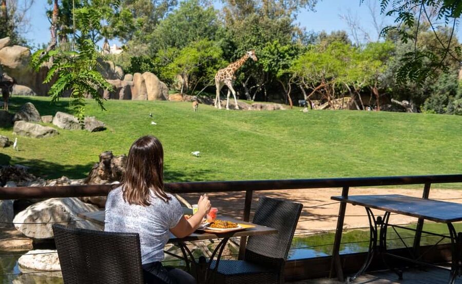 Valencia: Bioparc Valencia Admission Ticket - On-site extras: QR mapping, activities, and places to recharge