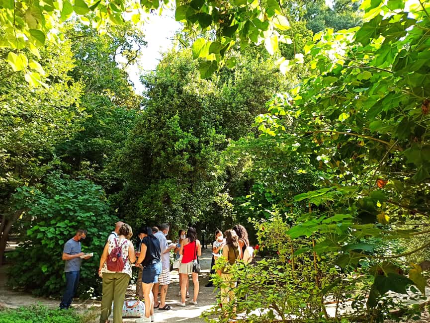 Valencia, Botanical Garden, Guided Tour - Meeting at the Gate on Calle Quart: how the tour starts smoothly
