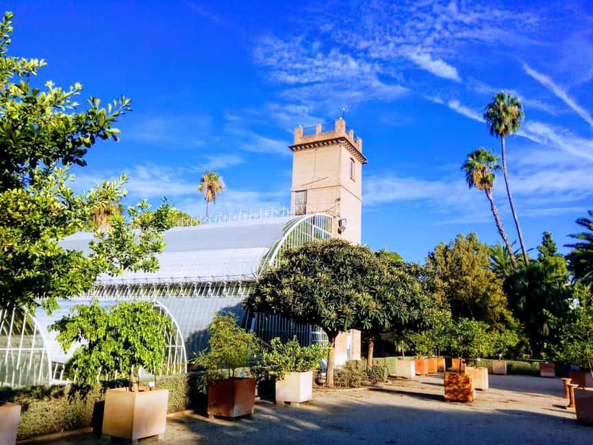 Valencia, Botanical Garden, Guided Tour - Tropical Greenhouses: orchids, ferns, and plants built for extremes