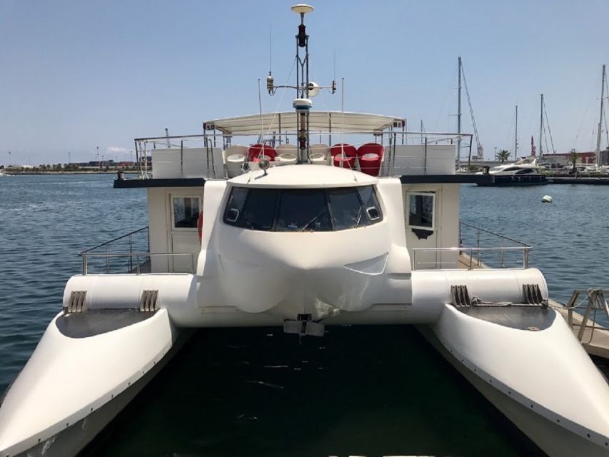 Valencia: Catamaran Cruise, Paella Lunch and Swim Stop - Key Highlights to Know Before You Go