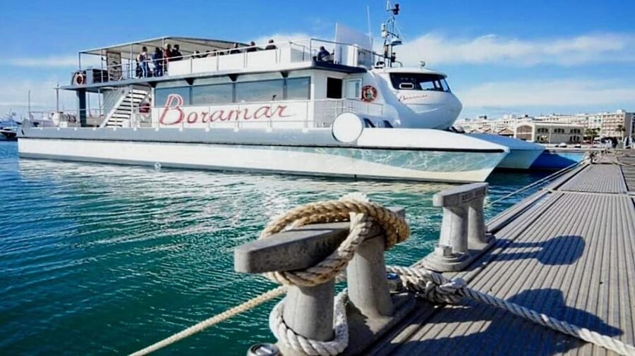 Valencia: Catamaran Cruise with Stop for Swimming - Key Highlights You’ll Care About