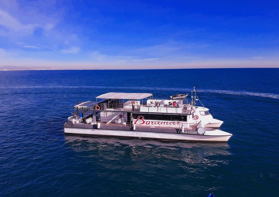 Valencia: Catamaran Cruise with Stop for Swimming - Why This Catamaran + Swim Stop Works Off Valencia