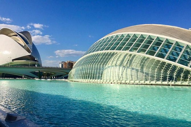 Valencia City Excursion - From Albir, Benidorm & Calpe - Mestalla Stadium add-on: small visit, big payoff for football people