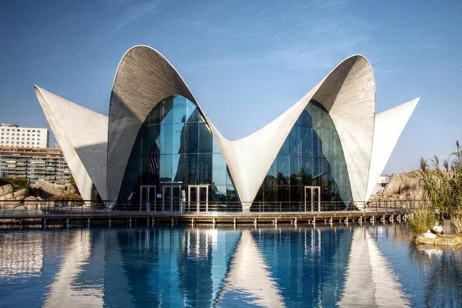 Valencia City Excursion - From Albir, Benidorm & Calpe - What to wear and pack (Valencia does check this)